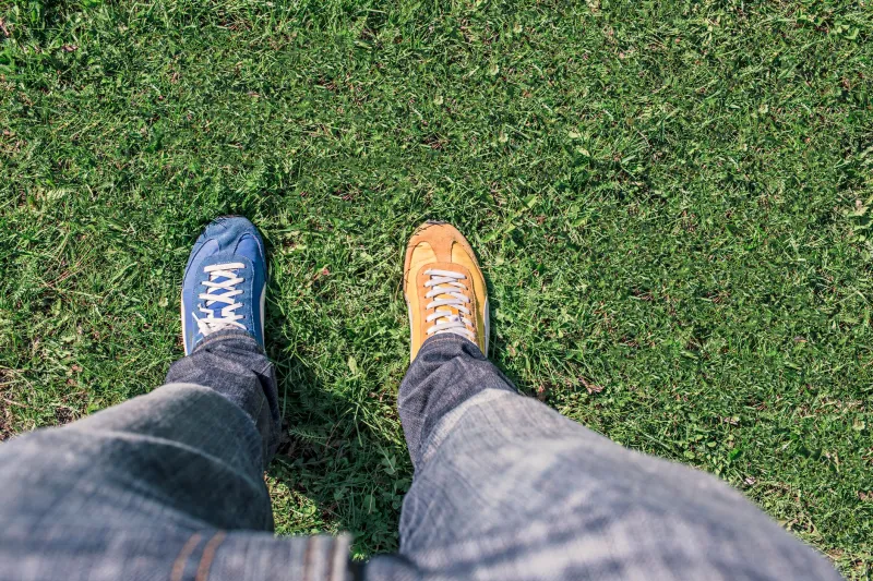 The Almost-Expert Edge: Why Living Between Disciplines Is the Career Superpower Nobody Talks About